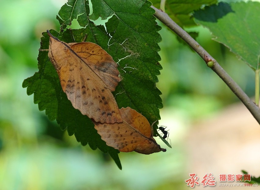 DSC07179_副本.jpg