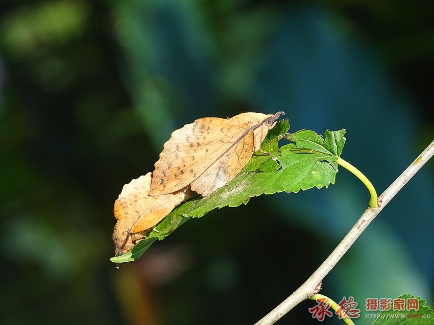 DSC07219_副本.jpg