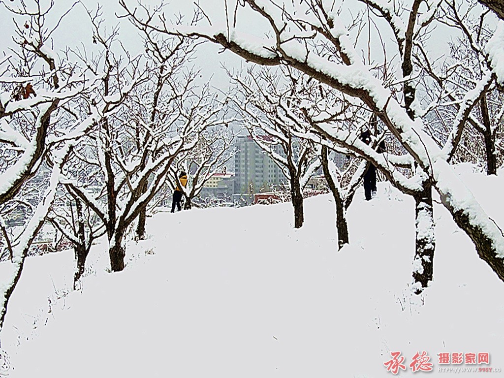 银装素裹尽妖娆2.jpg