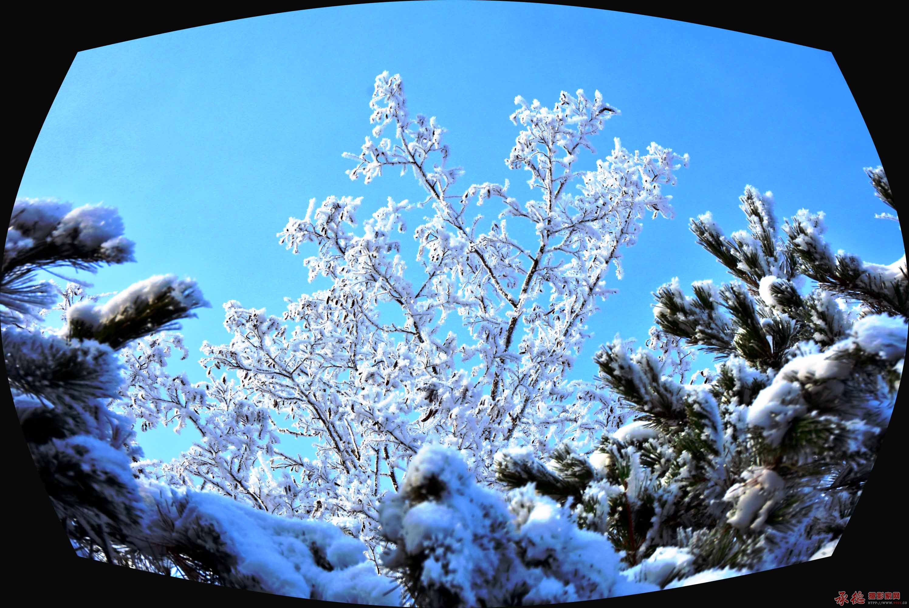 DSC_1460.jpg