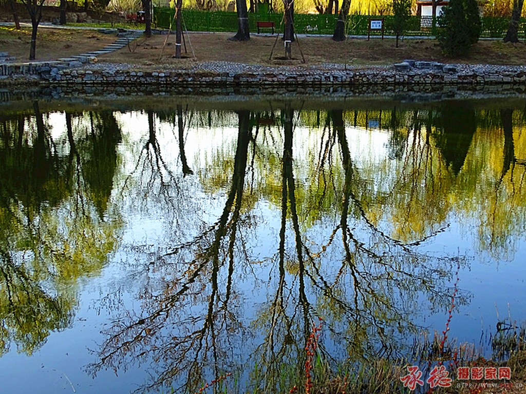 春风杨柳万千条4.jpg