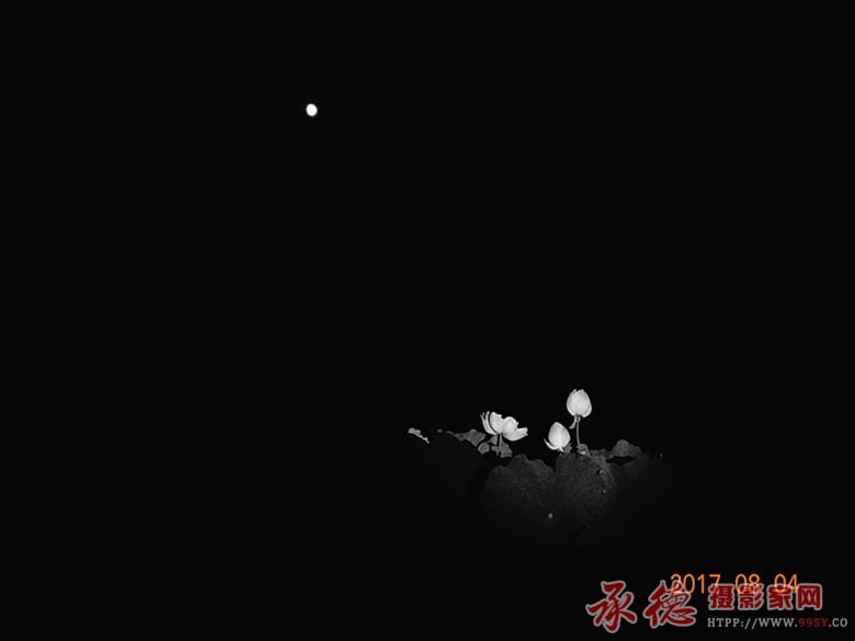 DSC05855_副本.jpg