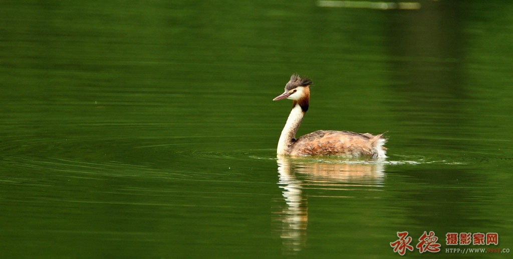 DSC_1794.JPG