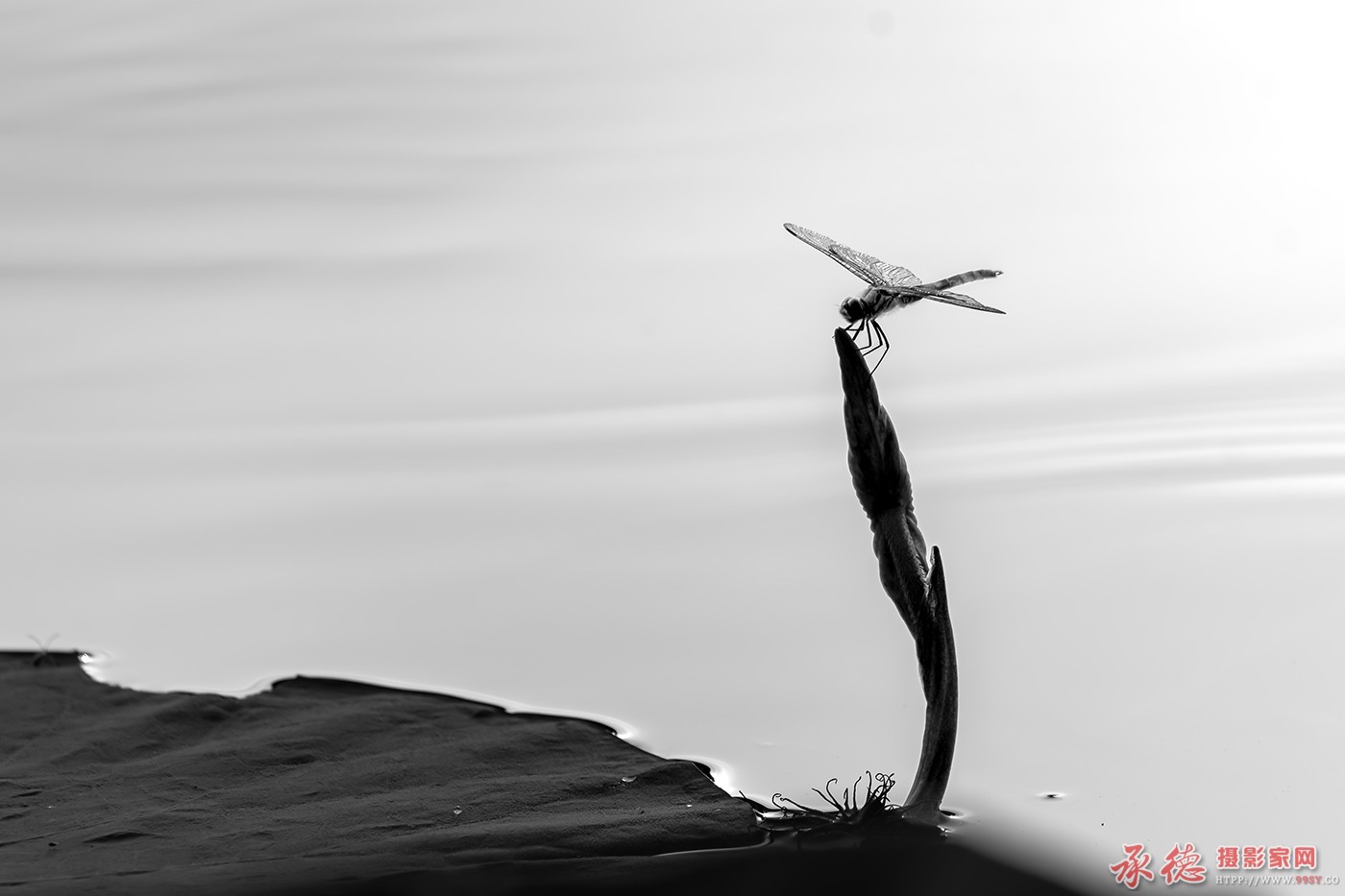静