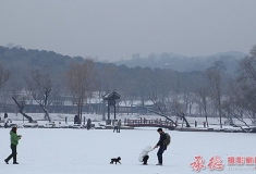 冰雪上的乐趣