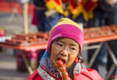 冰糖葫芦节----孩子的节日