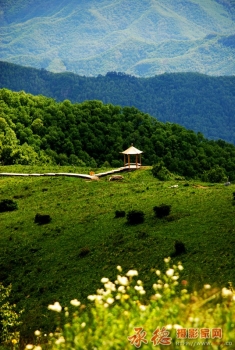 “大招旅游杯”森林·温泉秋季摄影大赛+