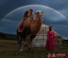 雨后牧区