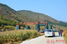 茅荆坝红叶风景区