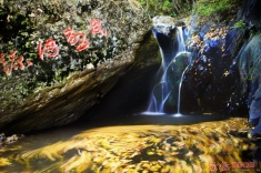 大招旅游杯”森林·温泉秋季摄影大赛+河之源头