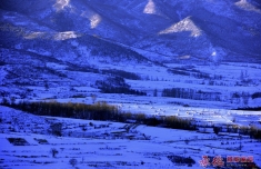 东山雪景