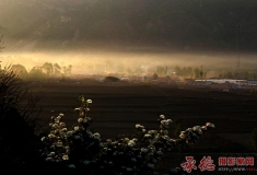 晨雾映山村