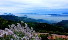 那边风景独好