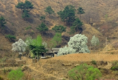 我山沟里的家