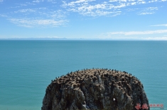 青海湖印象