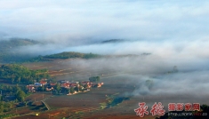 晨光雾色染山村