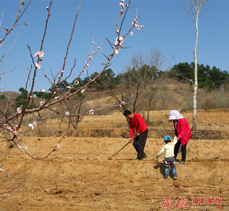 《播种时节》 范明瑞_