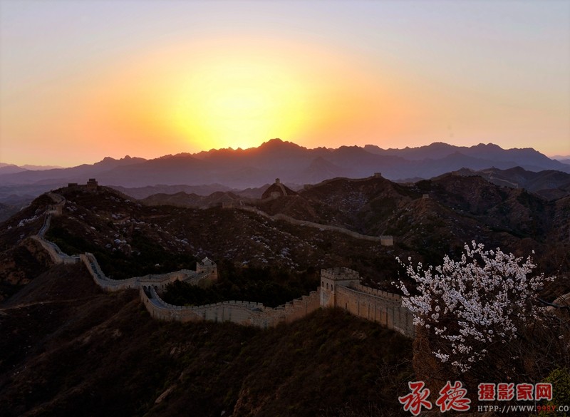 《金山夕照 》 师有瑞