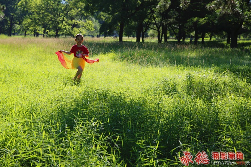 43夏天的快乐-梅子飘香