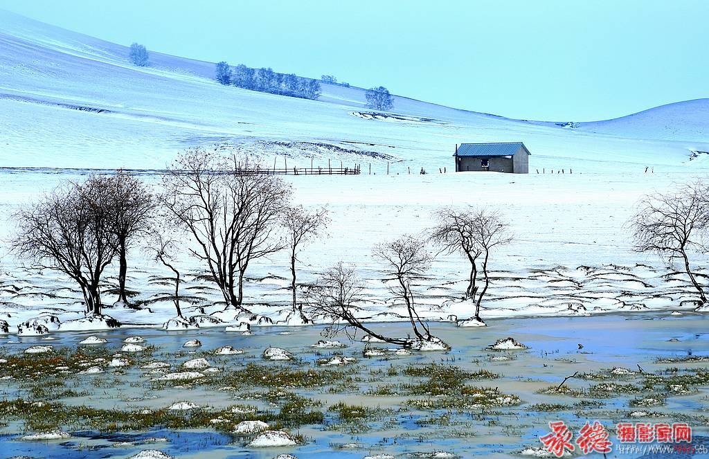 优秀奖：雪润御道口  草根摄员