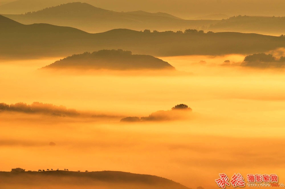 优秀奖：雾漫晨山  袁春龙