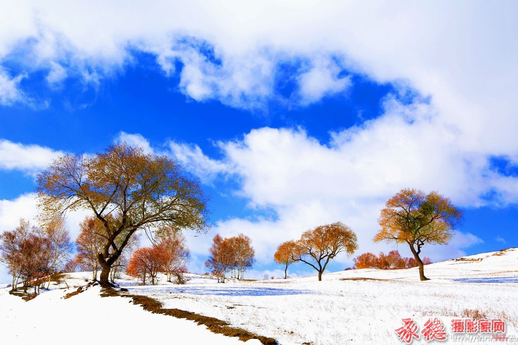 优秀奖：雪域之美  草根摄员