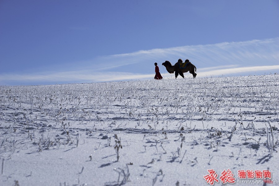 优秀奖：敢问路在何方  海阔天空