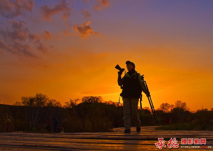 优秀奖：采风归来鹤舞夕阳